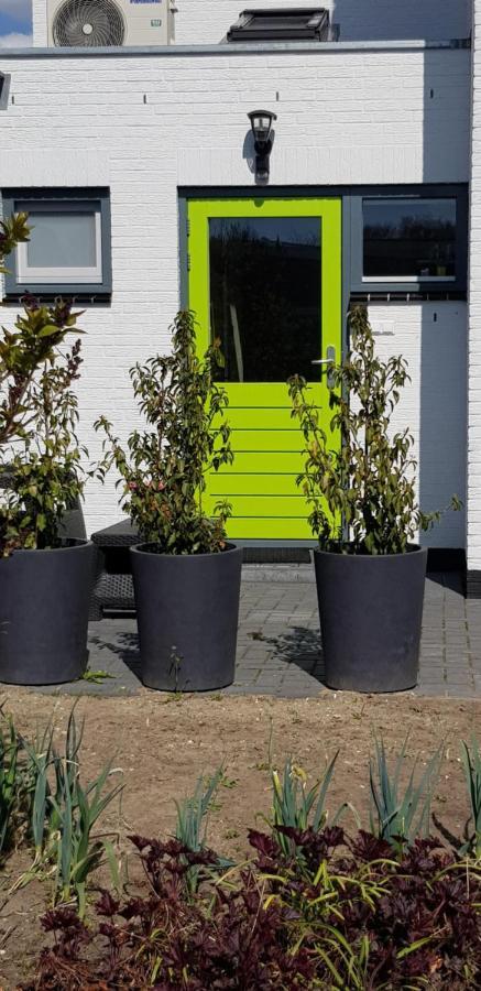 Jabaki Green Studio Hoofddorp Exteriör bild